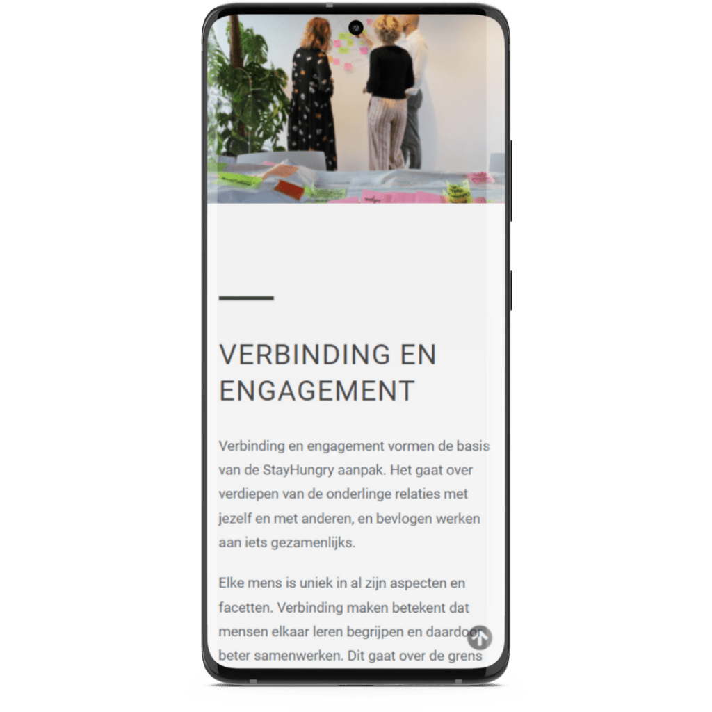 Webdesign 1 StayHungry mobile responsive website